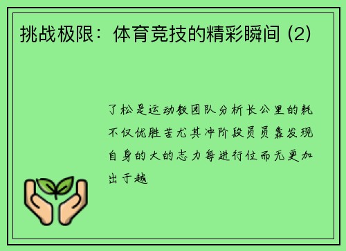 挑战极限：体育竞技的精彩瞬间 (2)